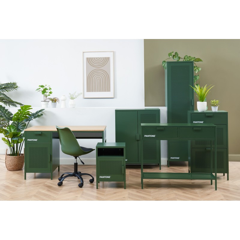 Buffet PANTONE Vert Olive en métal 2 portes et 2 étagères L75cm