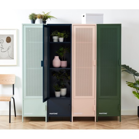 Vestiaire PANTONE Vert Olive en métal 2 portes et 2 étagères L45cm