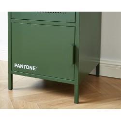 Vestiaire PANTONE métal vert olive h180cm