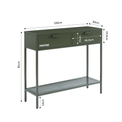 Console PANTONE métal vert olive foncé 100cm