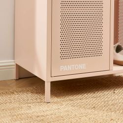 Vestiaire PANTONE métal rose blush avec penderie h145cm